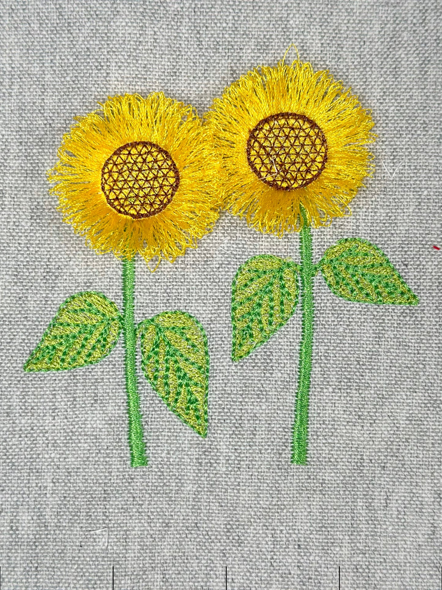 Two Fringed Sunflower Stems in a row