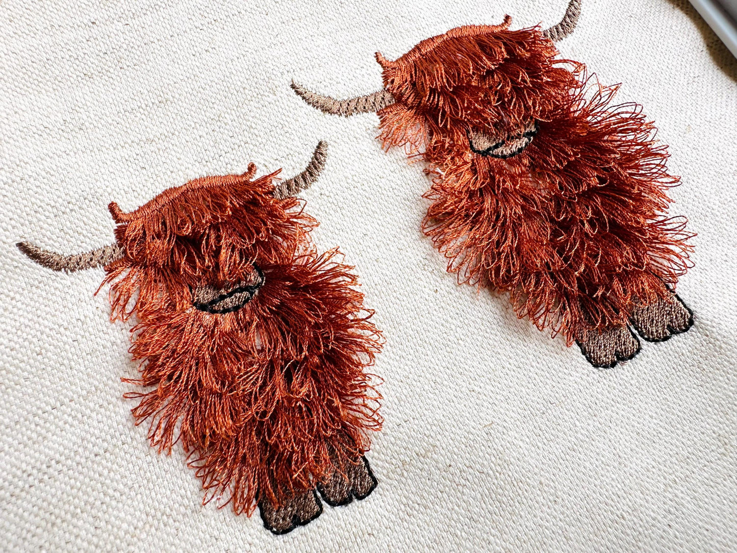 Fringed Longhorn Highland Cattle Cow