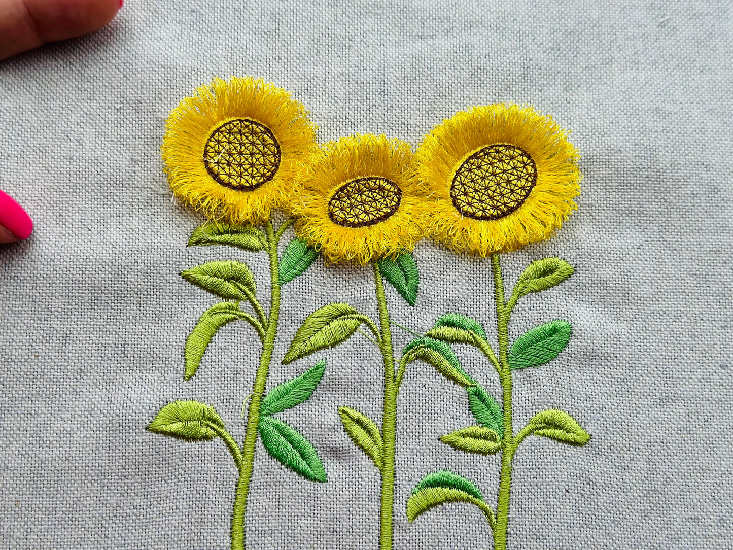 Three Fringed Sunflower Stems in a row
