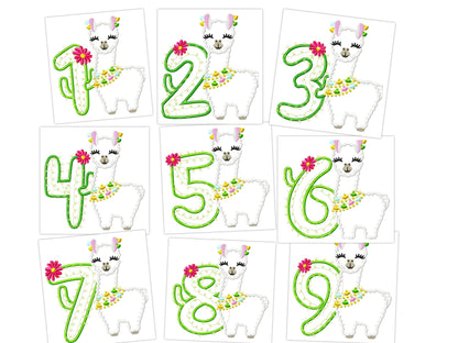 Llama Cactus Birthday Number Set