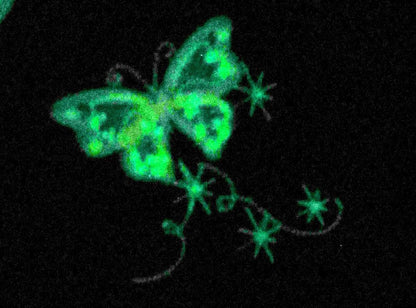 Magic Fairytale Butterfly