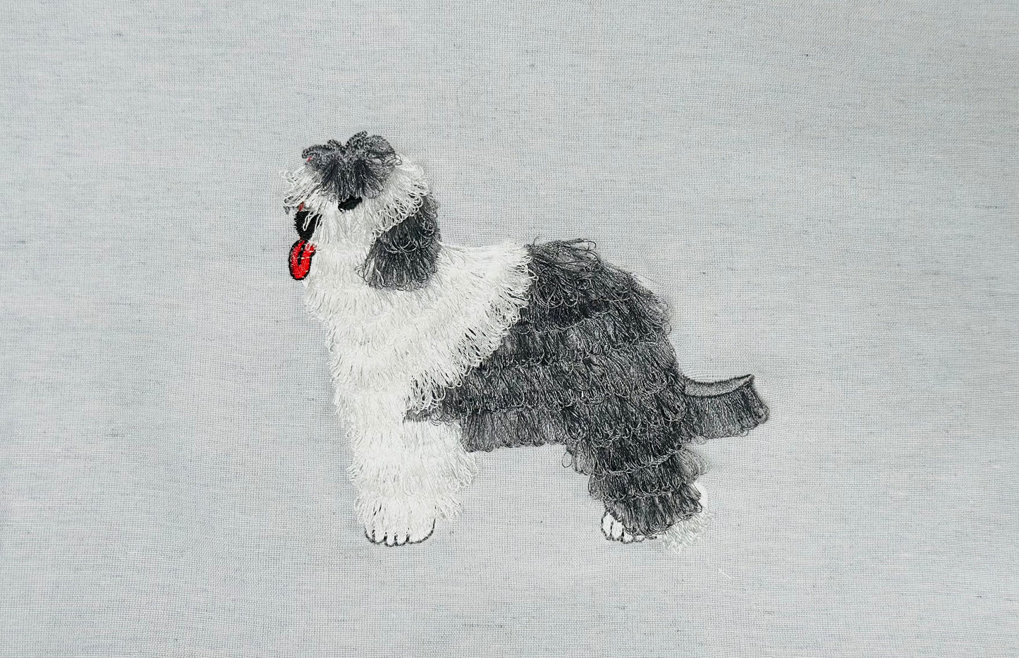 Sheepdog Fringed Dog Puppy