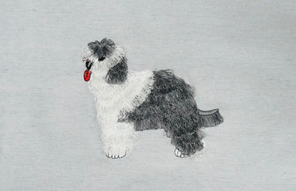 Sheepdog Fringed Dog Puppy