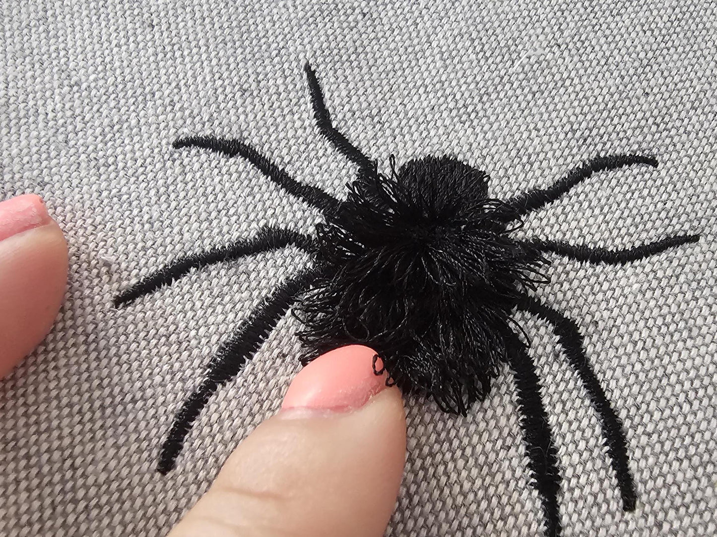 Fringed Spider