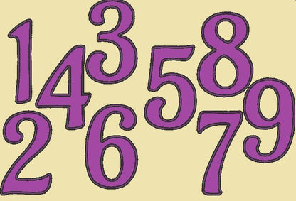 Wide Satin Outline Birthday Numbers Applique
