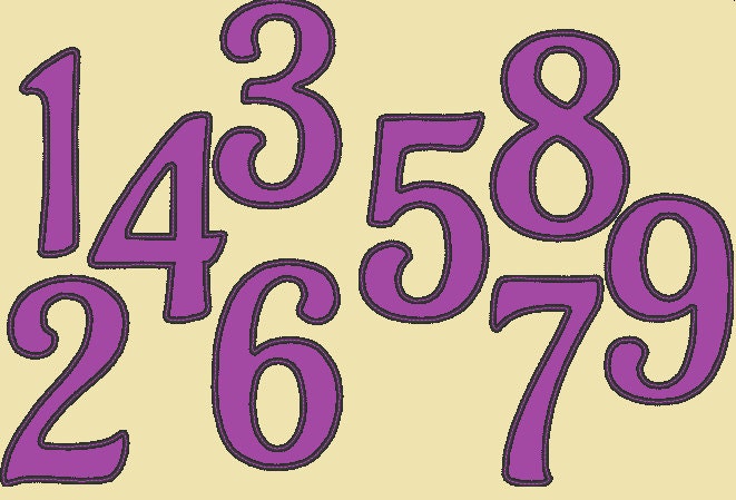 Wide Satin Outline Birthday Numbers Applique