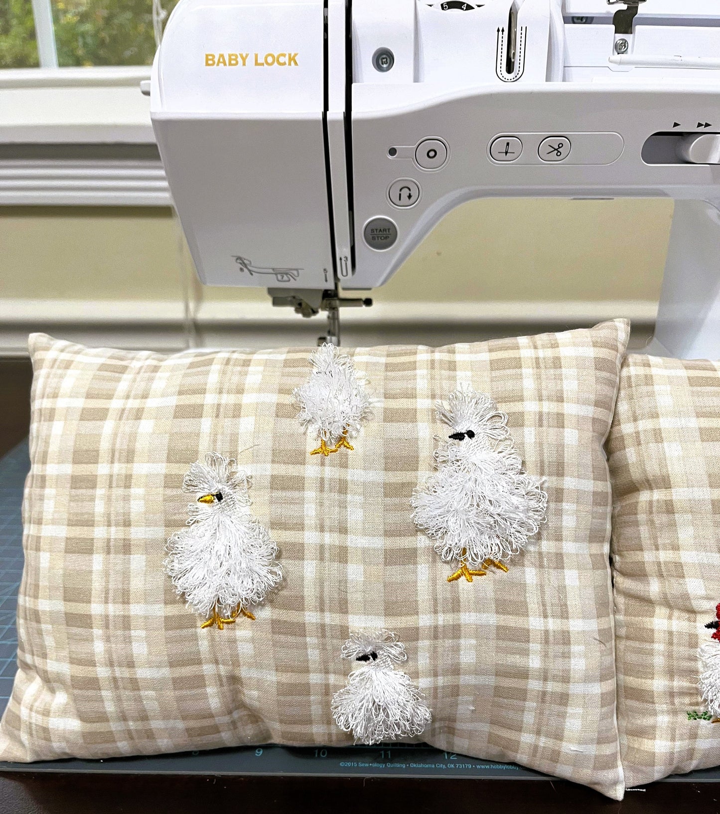 Fringed Silkie Chicken