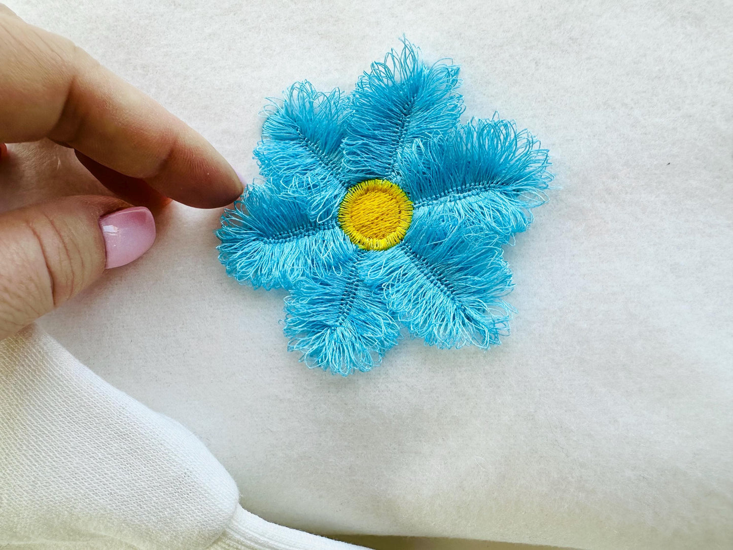 Single Fringed Daisy Flower