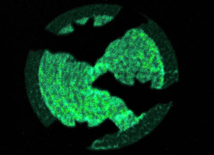 Magic Bat in Moon Night