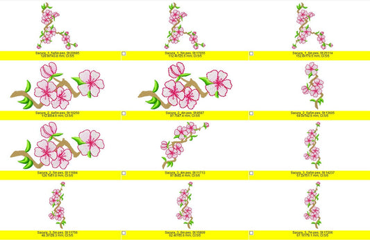 Sakura Cherry Blossom