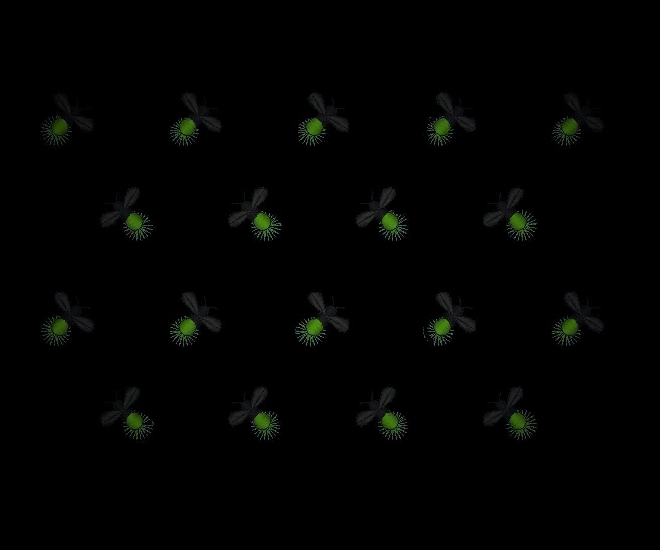 Magic Firefly Mini Sizes