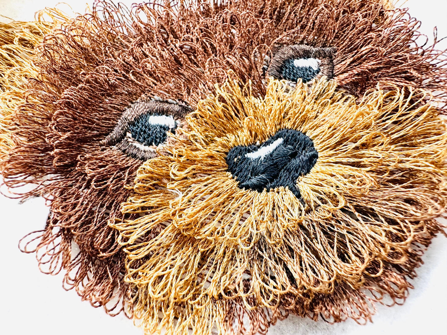 Fringed Little Dog Puppy Face