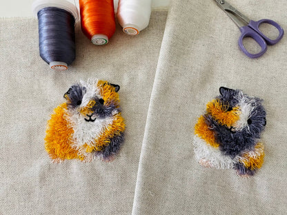 Fringed Cavy Guinea Pig Piggie