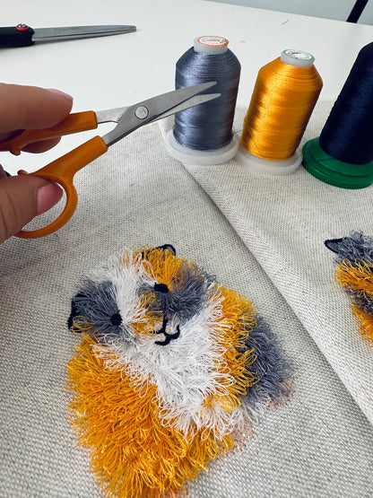 Fringed Cavy Guinea Pig Piggie