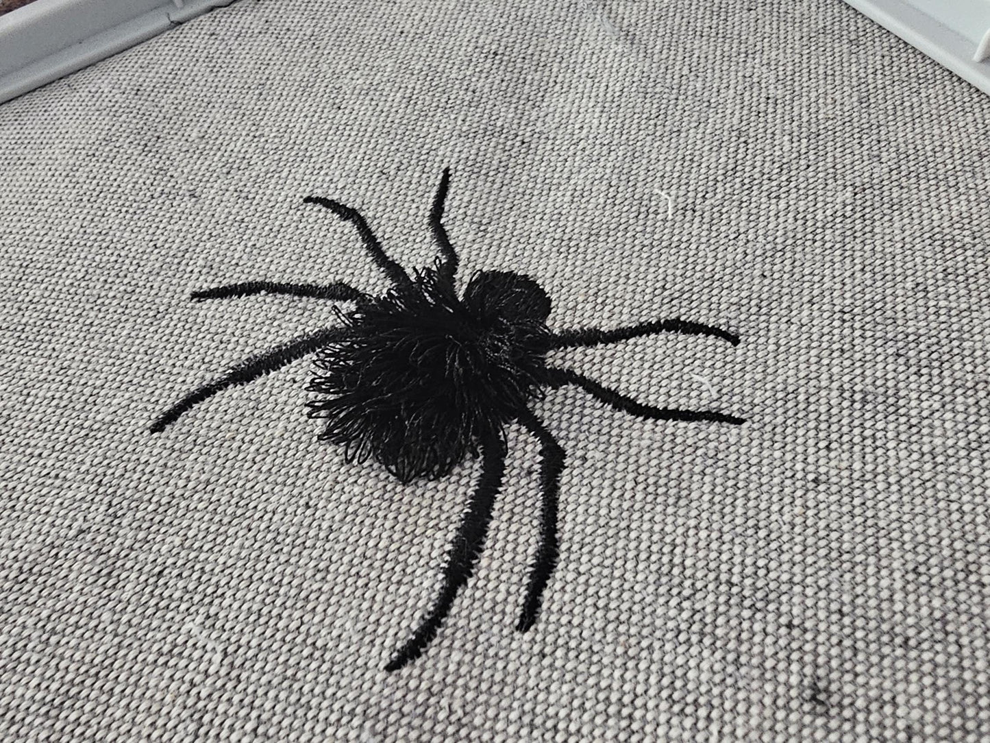 Fringed Spider