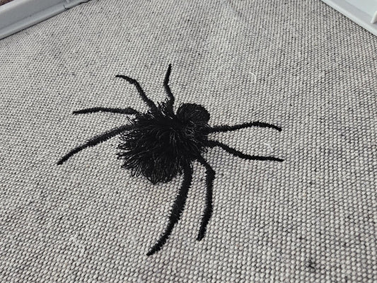 Fringed Spider