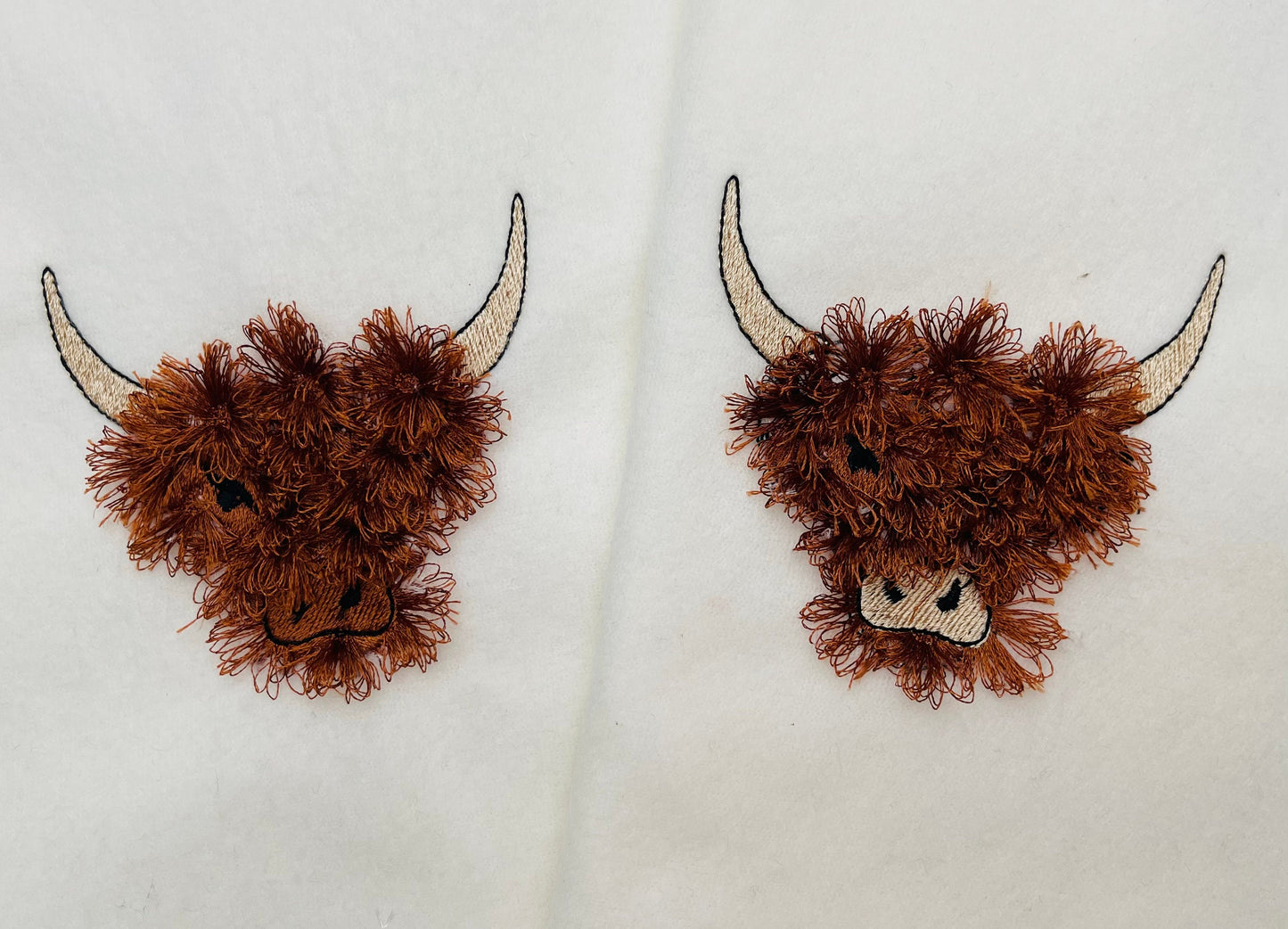 Fringed Highland Cattle Cow Scottish Breed