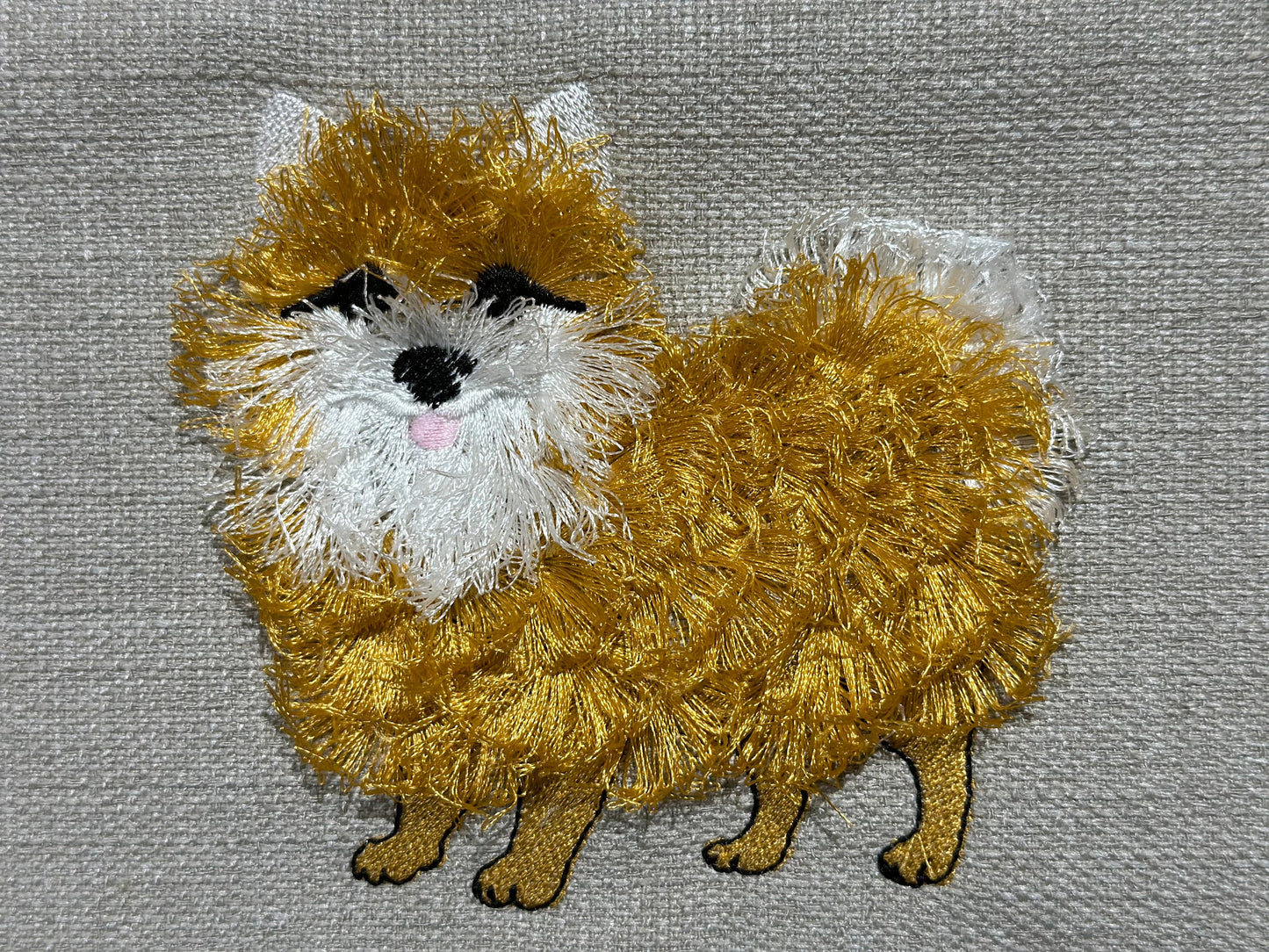 Pomeranian Fringe Dog Puppy