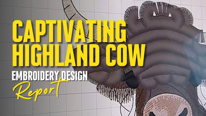 Big Fringed Highland Cow