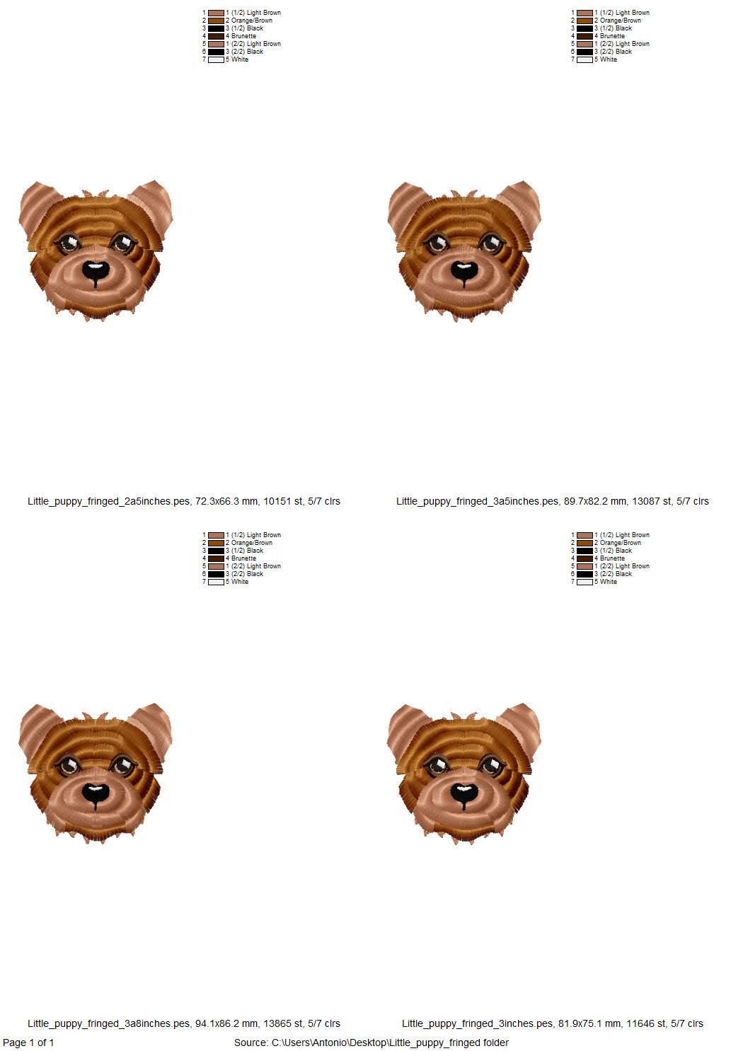 Fringed Little Dog Puppy Face