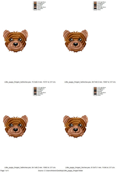 Fringed Little Dog Puppy Face