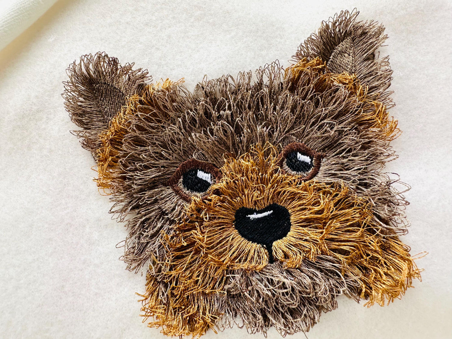 Fringed Little Puppy Yorkshire Terrier