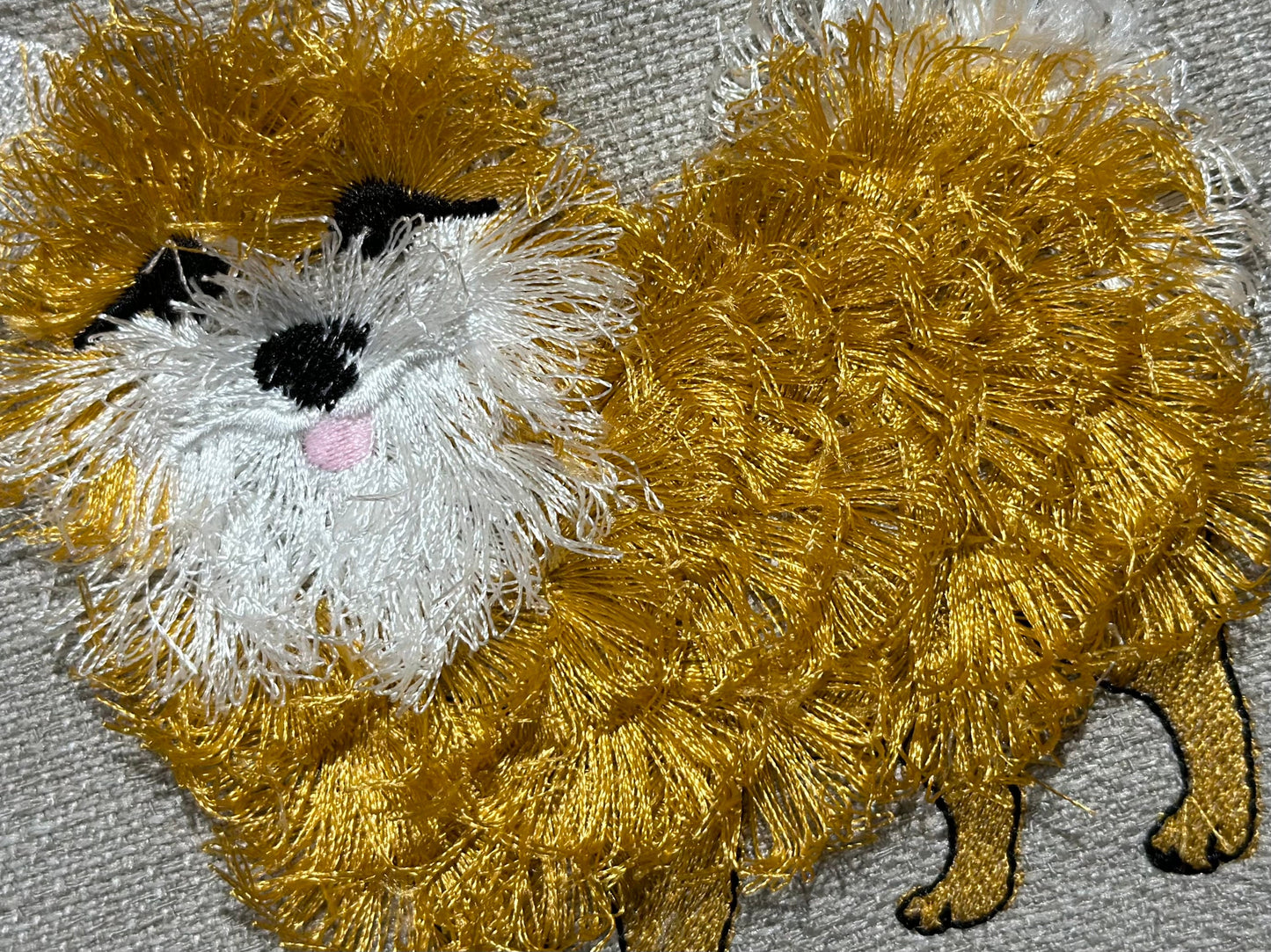 Pomeranian Fringe Dog Puppy