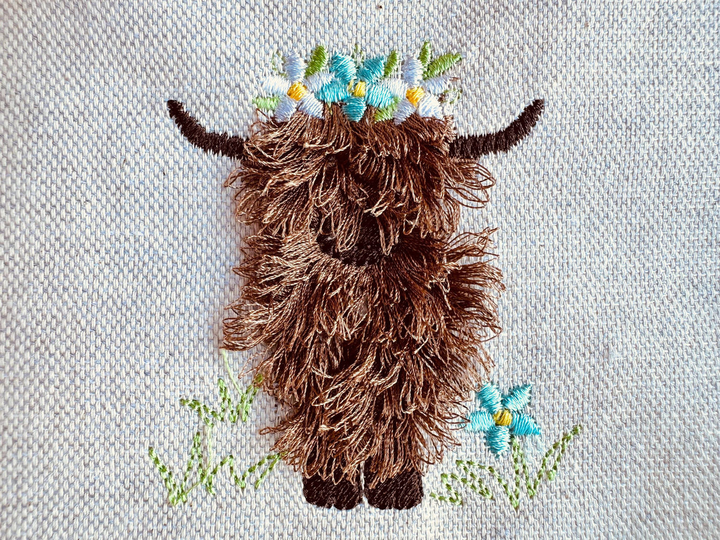 Fringed Longhorn Highland Cow Calf