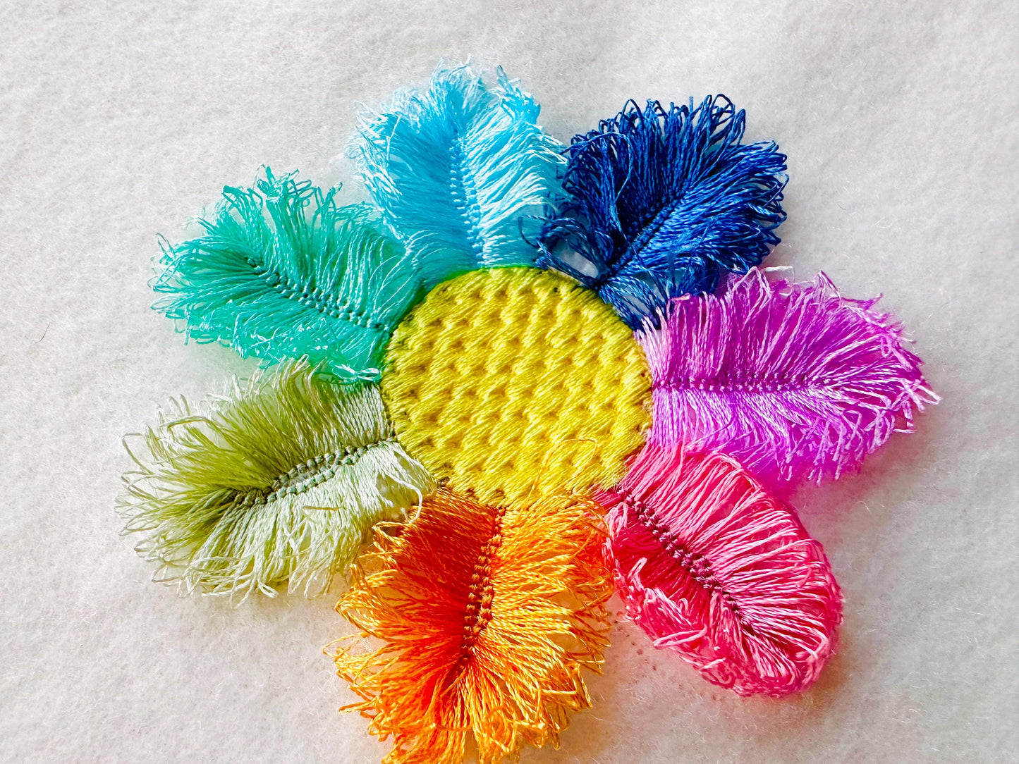 Multicolored Fringed Daisy