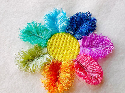 Multicolored Fringed Daisy