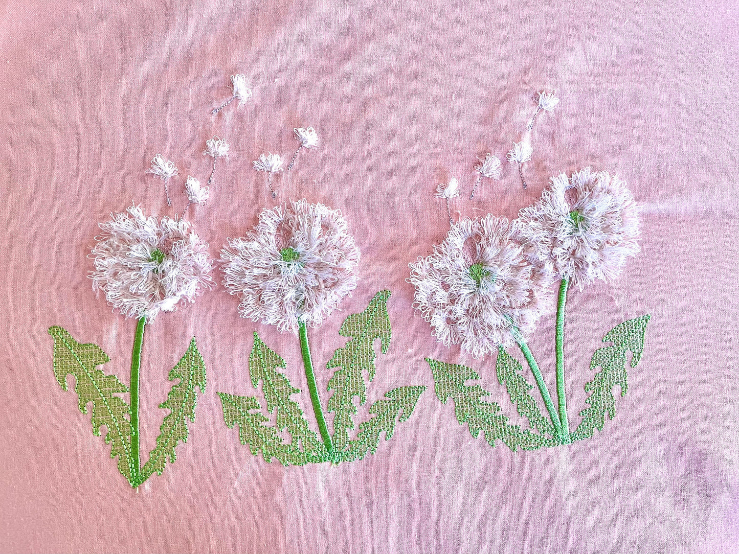 Fringed Dandelion Flower