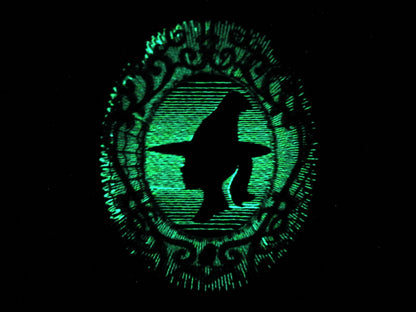 Witch in frame / Glow in the dark special designed machine embroidery