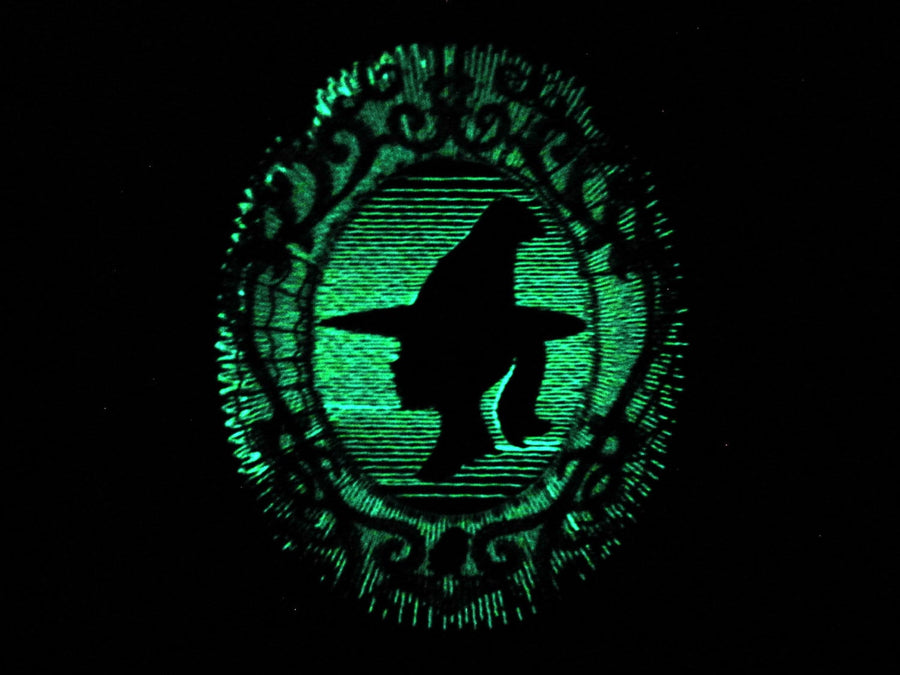 Witch in frame / Glow in the dark special designed machine embroidery