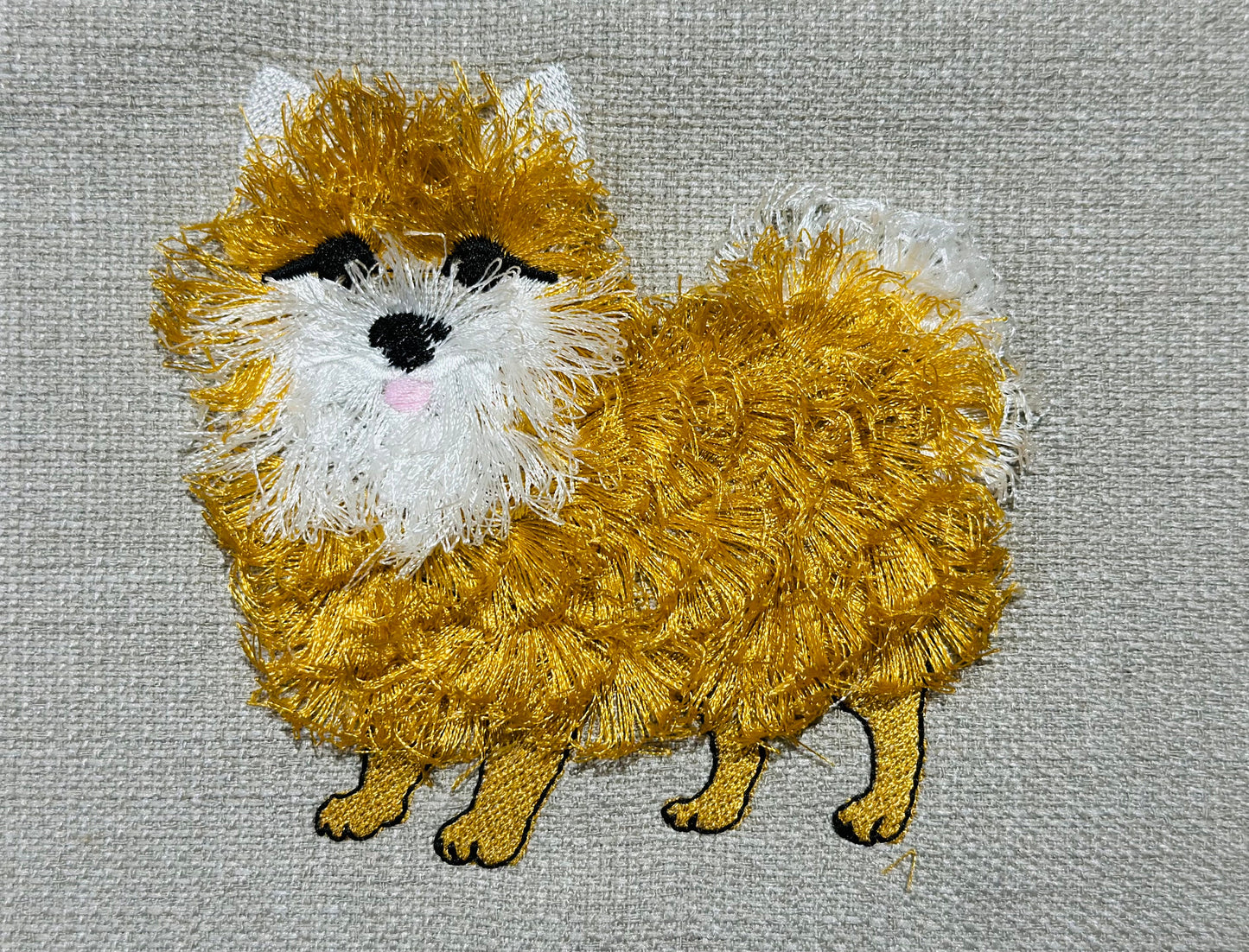 Pomeranian Fringe Dog Puppy