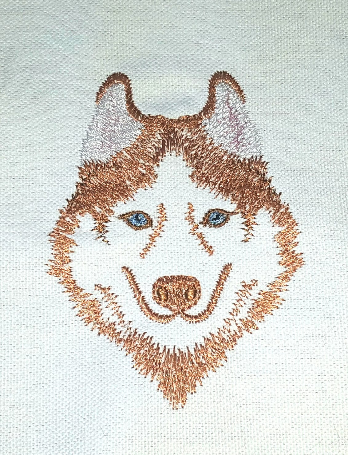 Husky Dog Puppy Face