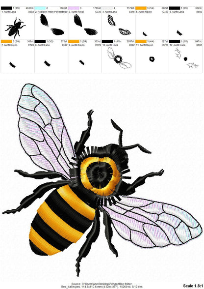 Fringed Bee Honeybee Iridescent Wings