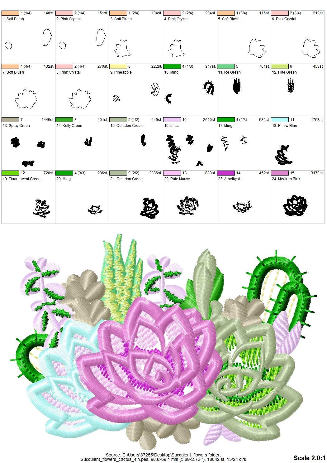 Succulent And Cactus Flower