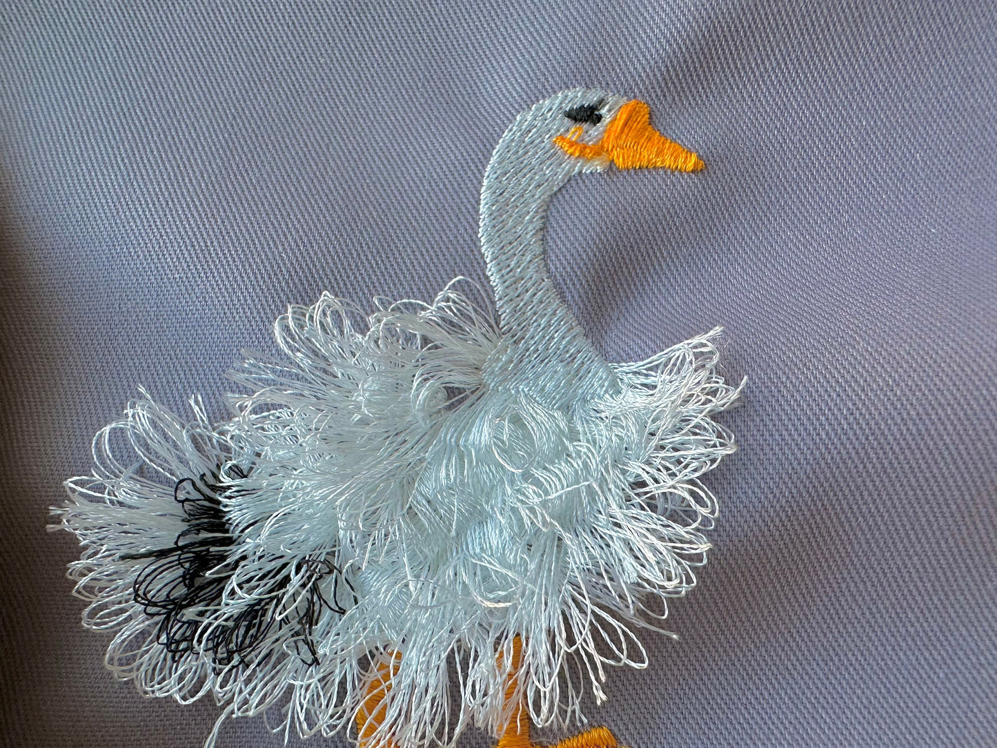 Fringed Goose Farm Bird