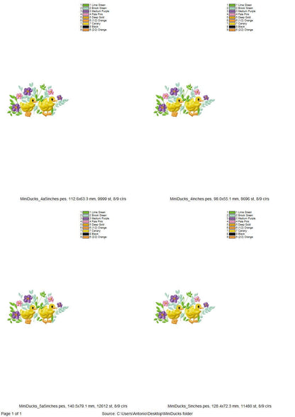 Fringed Little Ducks Floral Garden