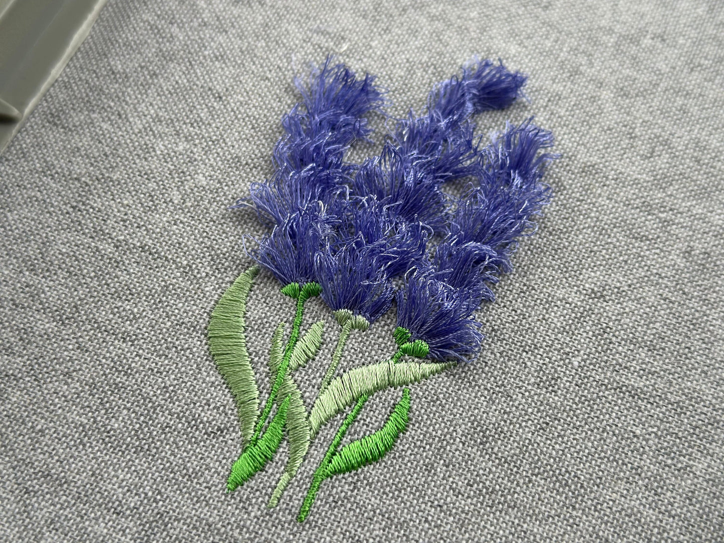 Fringed Lavender Flower Stem