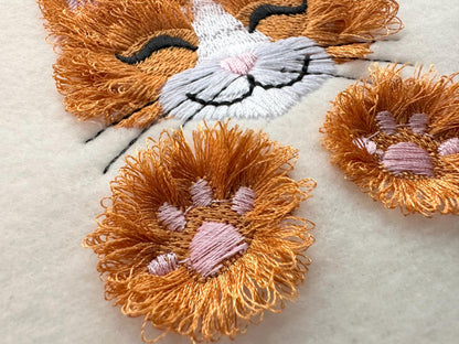 Adorable Little Fringed Kitten Kitty Cat