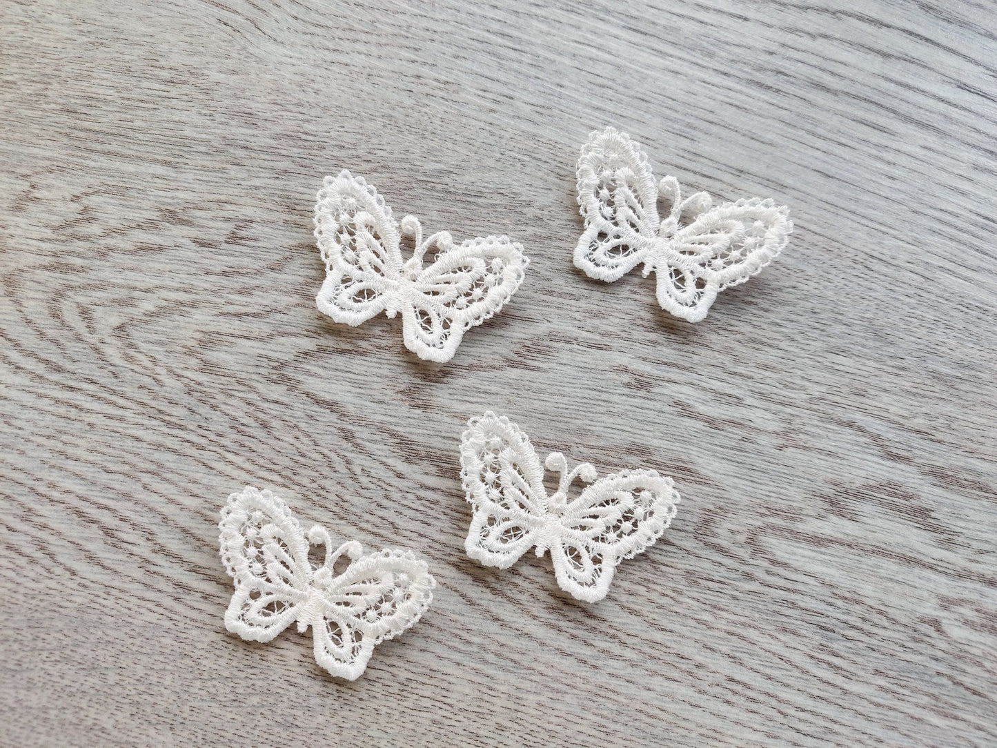Small Butterfly 3D Dimensional FSL