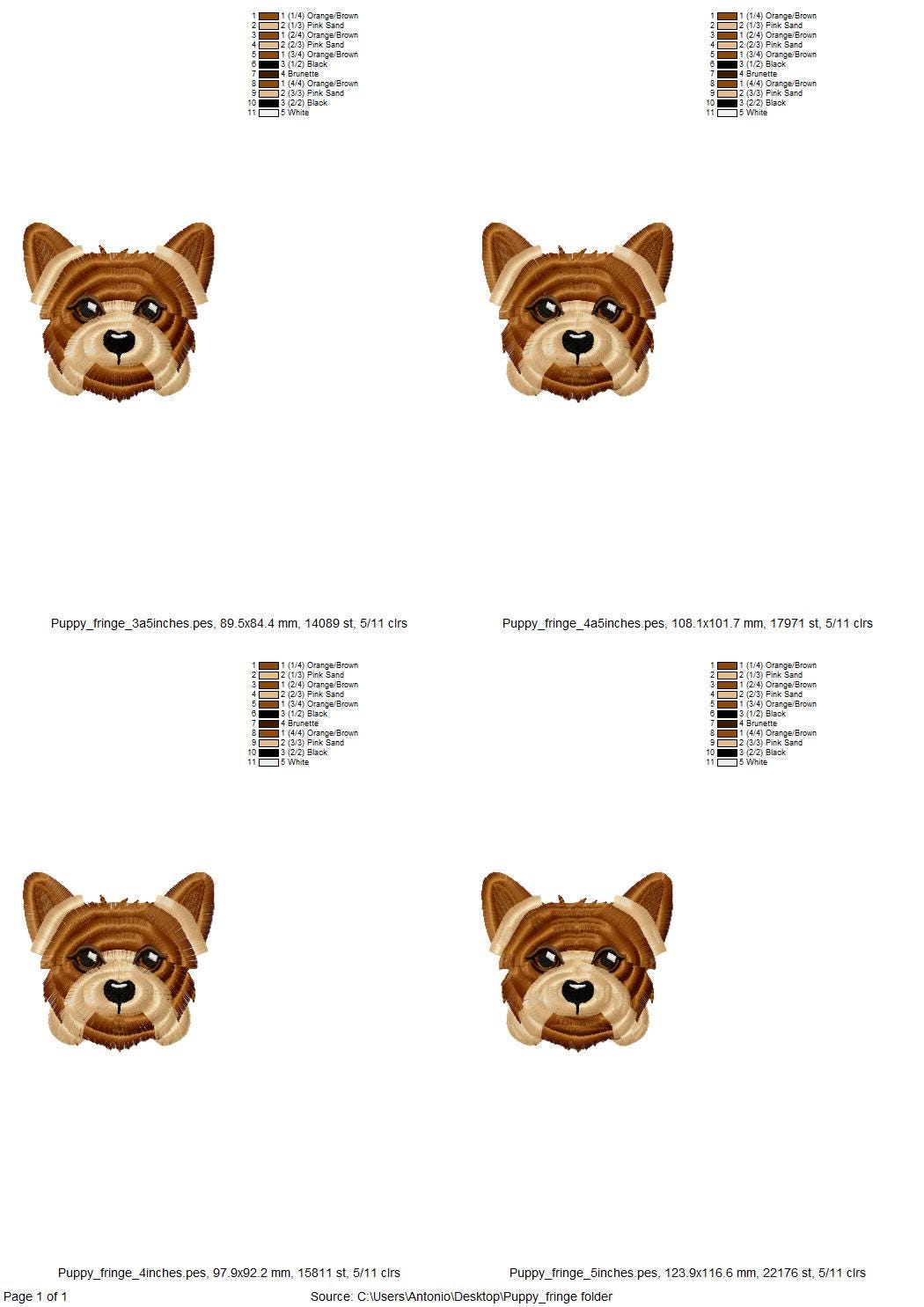 Fringed Little Puppy Yorkshire Terrier