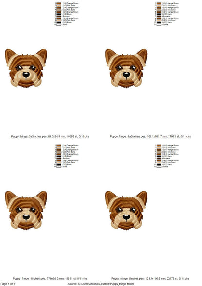 Fringed Little Puppy Yorkshire Terrier