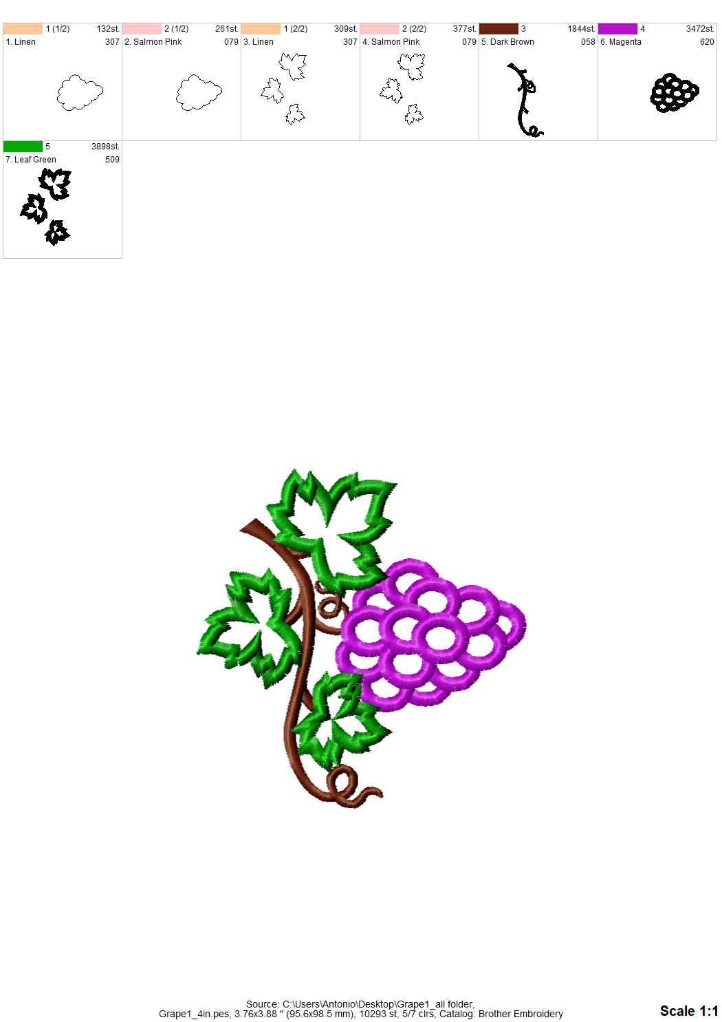 Grape Wine Branch
