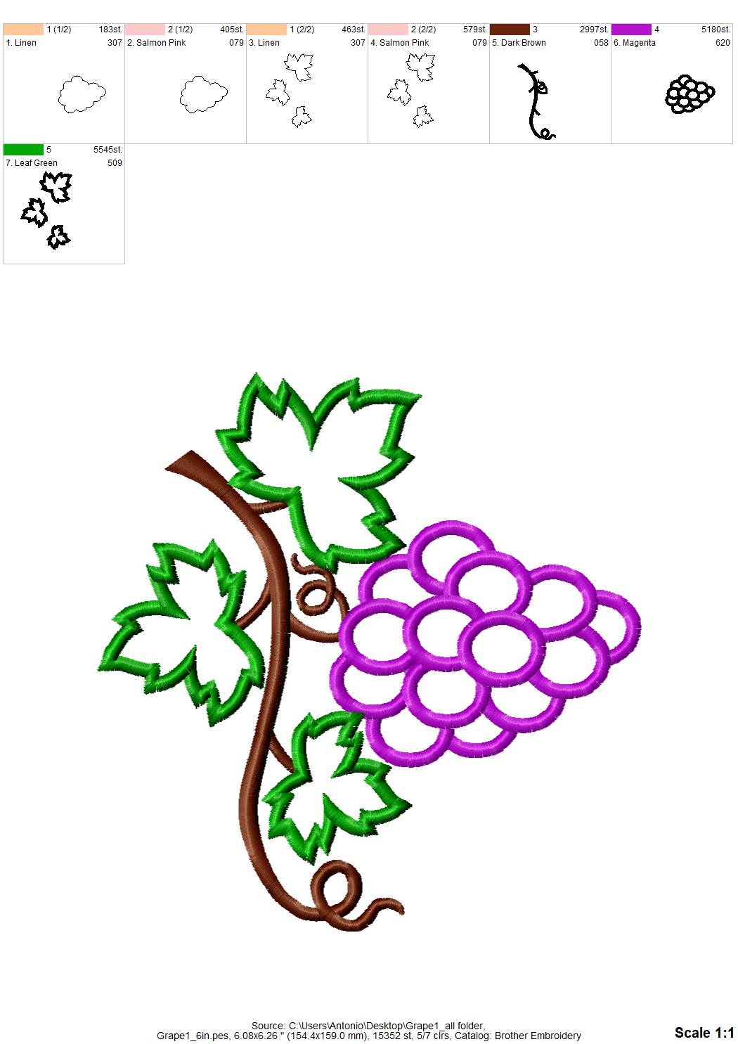 Grape Wine Branch