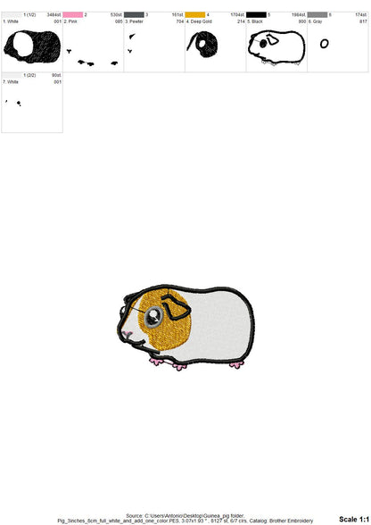 Cute Guinea Pig