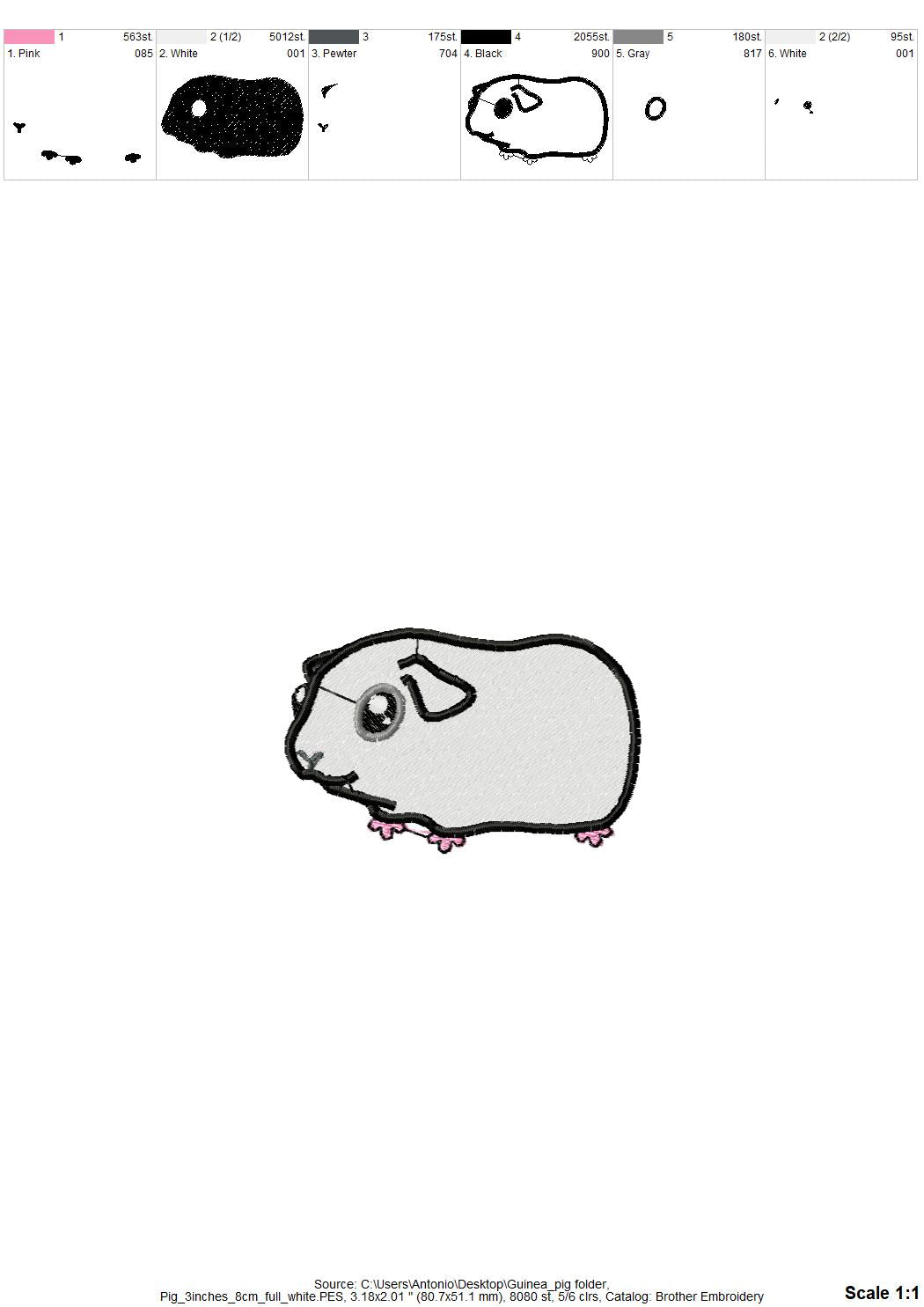 Cute Guinea Pig
