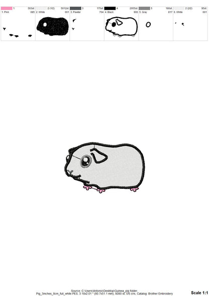Cute Guinea Pig