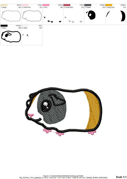 Cute Guinea Pig